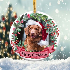 Christmas Dog Pet Ornament Png, Round Christmas Ornament, PNG Instant Download, Xmas Ornament Sublimation Designs Downloads