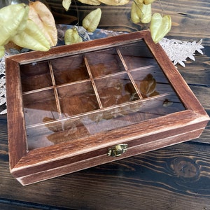 Può includere: Una scatola di legno con un coperchio di vetro e nove scomparti. La scatola ha una finitura marrone invecchiata e una chiusura in ottone.