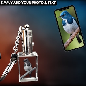 Cadeau commémoratif pour animal de compagnie pour oiseau - Porte-clés photo en cristal personnalisé - Cadeau unique de perte d'animal de compagnie avec photo et texte - En mémoire de - Coffret cadeau de deuil