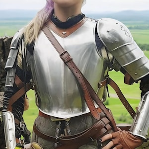 May include: Polished silver breastplate and shoulder armour with brown leather straps. The armour is worn over a black and grey outfit. The background shows a green field and a stone wall.