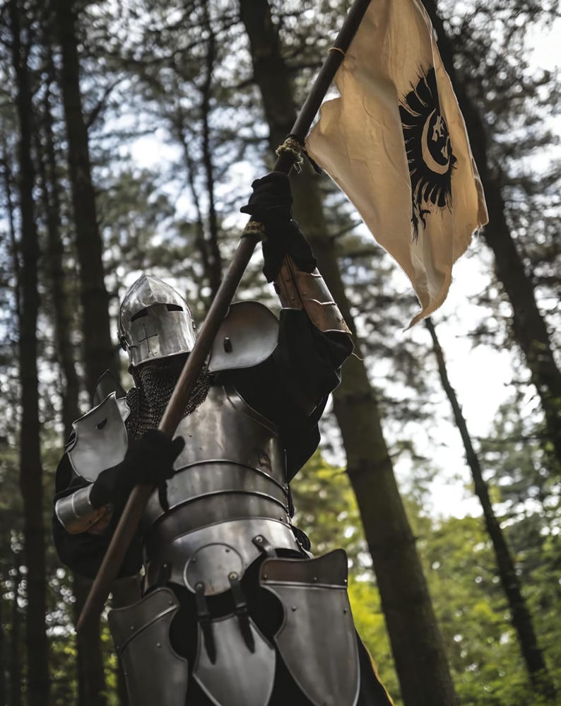 18-gauge stål Barbuta riddarrustningsset • Medeltida reenactment LARP Cosplay • Helkroppsplåtsrustning bild 11