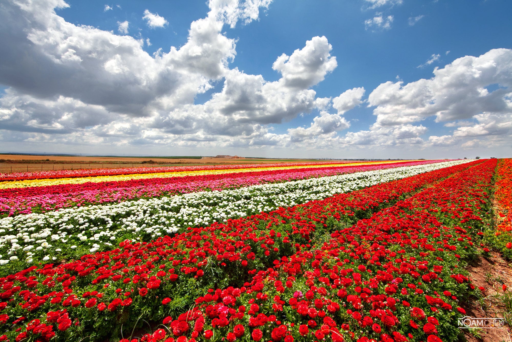 ветер в поле. поля для доклада. проект на тему поле. стог поле сенокос. природное сообщество поле.