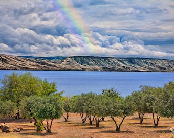 Sea of Galilee Rainbow, Wall Art from the Holy Land of Israel
