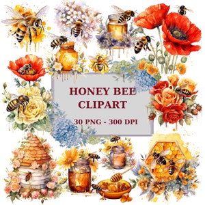 Watercolor honey bee clipart, bees with flowers & roses, poppies with bees, honeycombs, honey, 300 DPI, instant download for commercial use