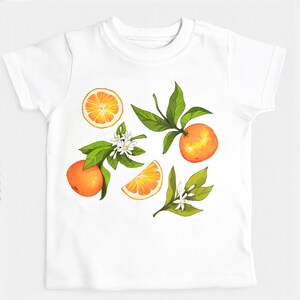 Bügelbilder Orangen A4-Set zum Aufbügeln auf Textilien | Dekoration für T-Shirts, Jeans, Hoodies | Patches groß für Kinder, Erwachsene