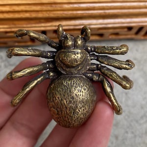 Puede incluir: Una detallada figura de araña de bronce con ocho patas y un cuerpo texturizado. La araña es de color marrón dorado y parece estar hecha de metal. La figura es un objeto decorativo, posiblemente para un coleccionista o como un acento único para el hogar.