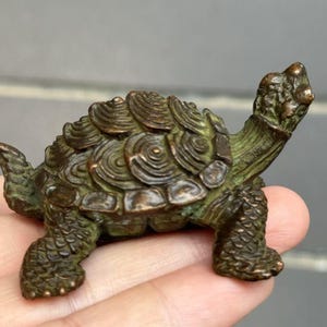 May include: A small, bronze-colored turtle figurine. The turtle has a detailed shell with concentric circles and textured skin. Its head and legs are visible, and the figurine is held in a hand.