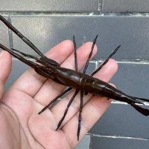 Vintage Copper Shrimp Figure Japanese Antique Metal Sea Animal Artisan ...