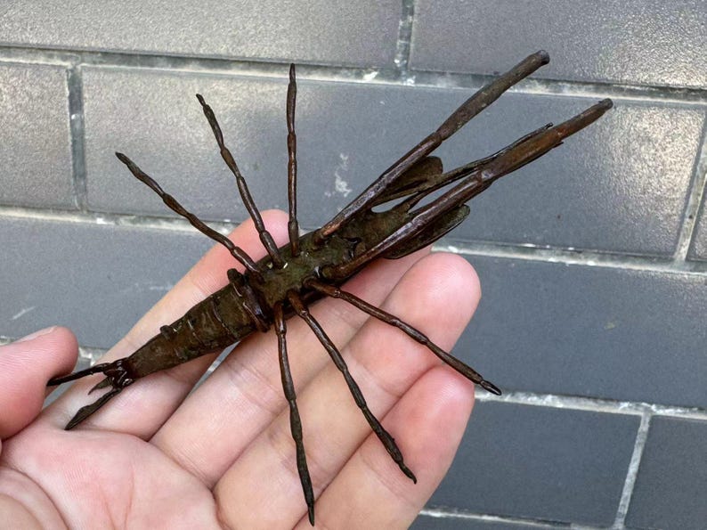 Vintage Copper Shrimp Figure Japanese Antique Metal Sea Animal Artisan ...
