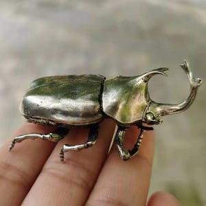 Puede incluir: Figura detallada de escarabajo plateado con un cuerno prominente y detalles intrincados en las patas. El cuerpo del escarabajo tiene un acabado metálico texturizado, y el diseño general es realista. Esta pieza decorativa es para los amantes de los insectos.