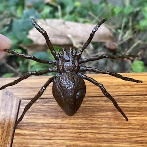May include: A detailed bronze spider sculpture with eight legs and a textured body. The arachnid is displayed on a wooden surface, showcasing its intricate design. The sculpture is a decorative item, perfect for collectors or as a unique home accent.