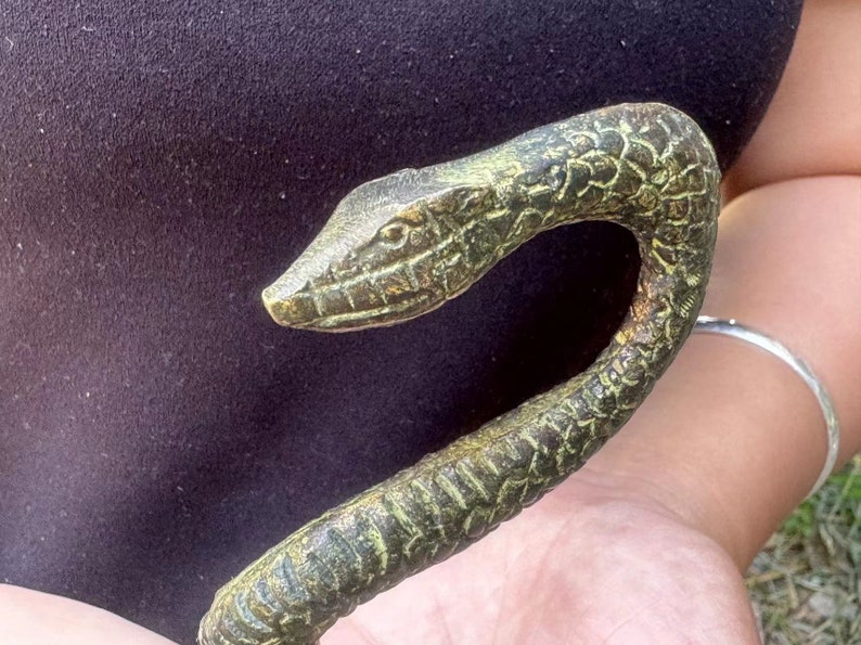 May include: A bronze-colored, snake-shaped decorative object. The snake's head is detailed with scales and a small eye. The body curves in an elegant arc. The object has a weathered, antique appearance, with hints of green and gold.