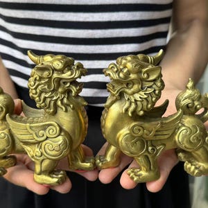 A Pair Feng Shui Pi Yao/Pi Xiu for Wealth animal Luck Figurine beasts Collectible Qilin qi lin, Copper brave troops,shop opening gifts DE461