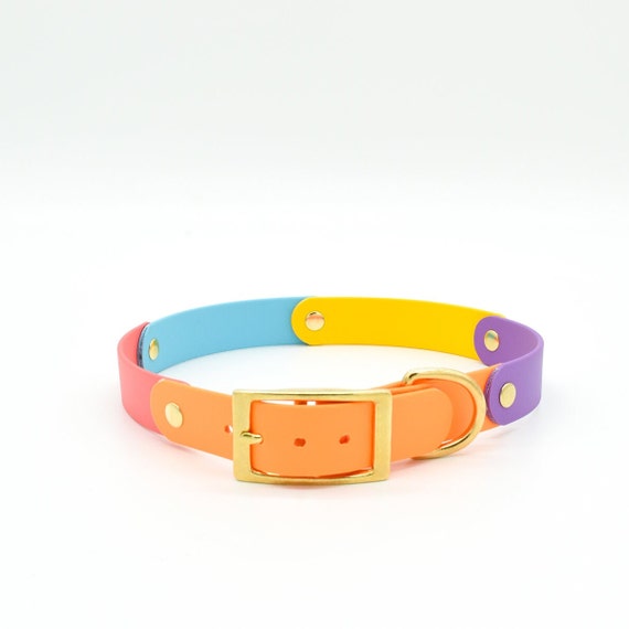 Tropical Waterproof Biothane Dog Collar Hypoallergenic Collar