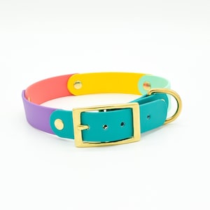 Fiesta Mix Waterproof Biothane Dog Collar - Hypoallergenic Collar -  Stylish & Durable with Stainless Steel Hardware - Custom Sizes