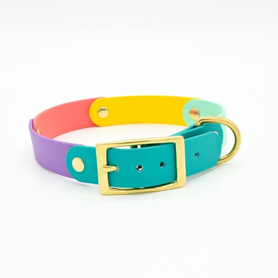 Fiesta Mix Waterproof Biothane Dog Collar