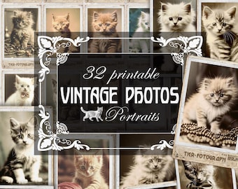 Cats, kittens, vintage photo cards, scrapbooking, journal, decoupage, crafting, printable, 1910s vintage photography look for printing