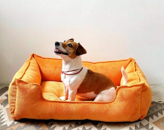 May include: An orange corduroy dog bed with a rectangular shape. A small, brown and white dog sits inside the bed, looking upwards. The bed is on a patterned rug.