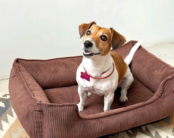 May include: A brown corduroy dog bed with a rectangular shape and raised sides. A Jack Russell Terrier with brown and white fur sits inside the bed, wearing a pink collar and tag. The dog is looking up with its mouth open.