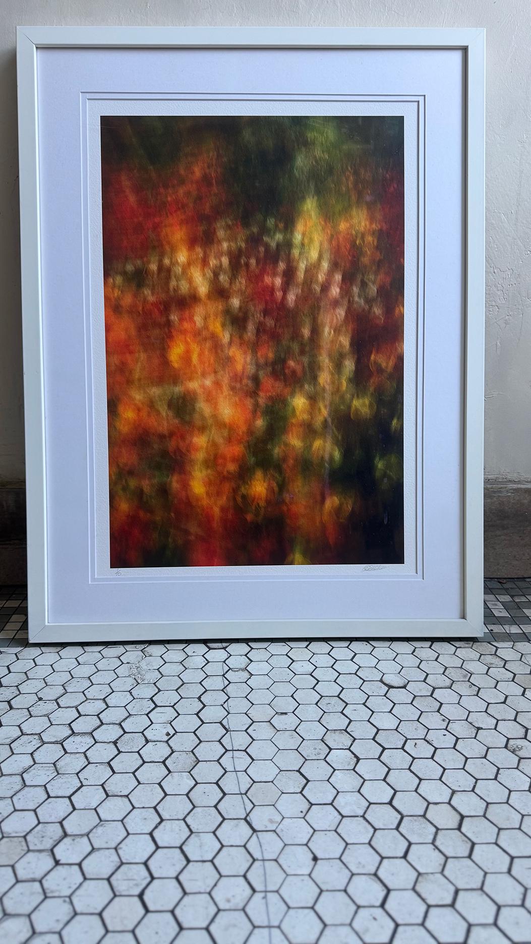 Limited Edition, Fine Art Photography, Giclée Print