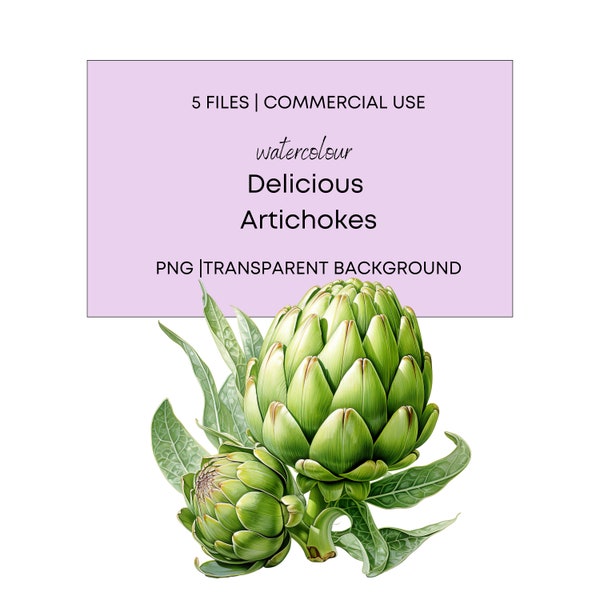 Watercolor Delicious Artichokes, 5 High Quality PNG with Transparent Background