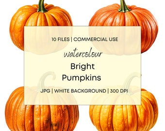 Bright Pumpkins Watercolor, 10 High Quality JPG with White Background