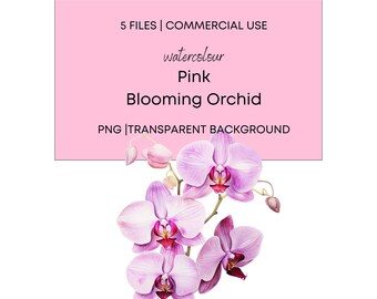 Watercolor Pink Blooming Orchid, 5 High Quality PNG with Transparent Background