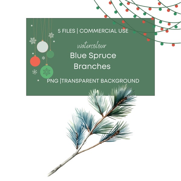 Blue Spruce Branches, ChristmasTree Illustration - 5 High Quality PNG Transparent Background