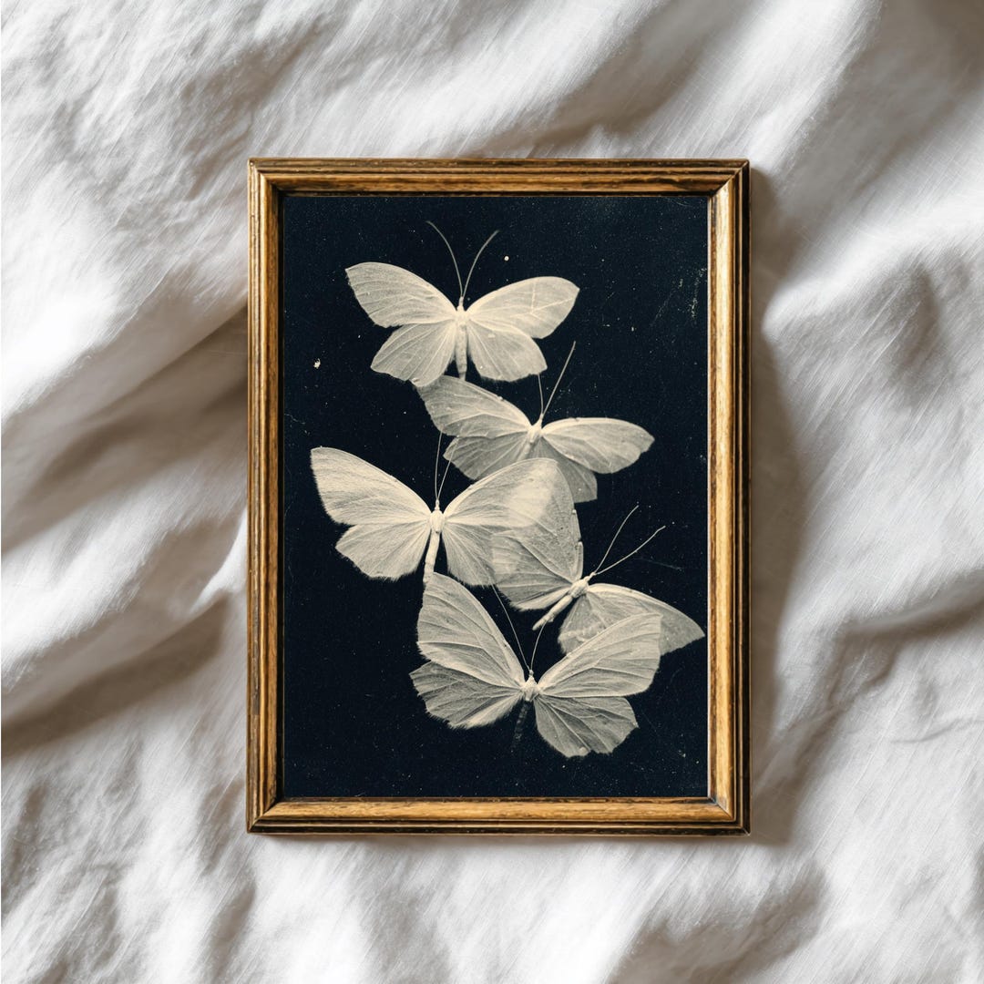 White Moths Wall Art, Dark Academia Insect Decor (digital Download) - Etsy