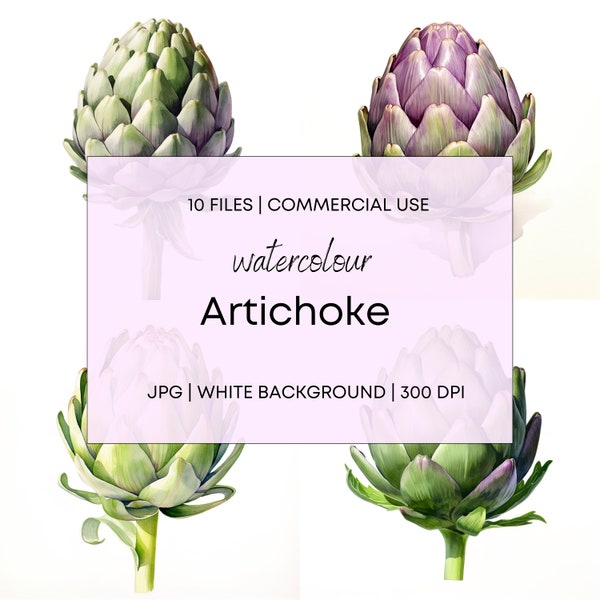 Watercolor Artichoke, 10 High Quality JPG with White Background