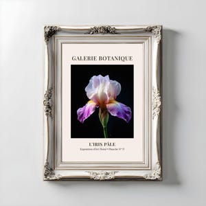 Poster bleke irisbloem, donkere humeurige muurkunst (digitale download)