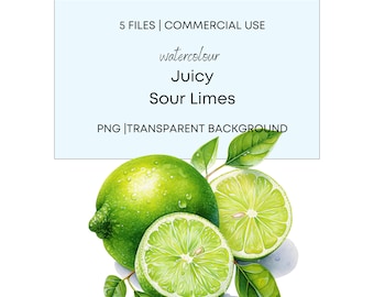 Watercolor Juicy Sour Limes, 5 High Quality PNG with Transparent Background