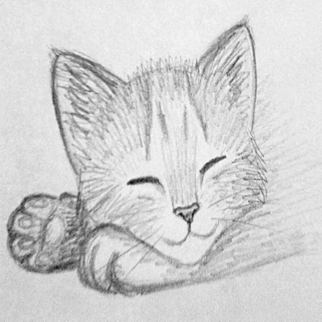 Cute Cat Pencil Sketch Digital Download - Etsy