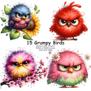 May include: Three cartoon birds with grumpy expressions. The birds are red, blue, and pink with yellow accents. The birds are surrounded by flowers.
