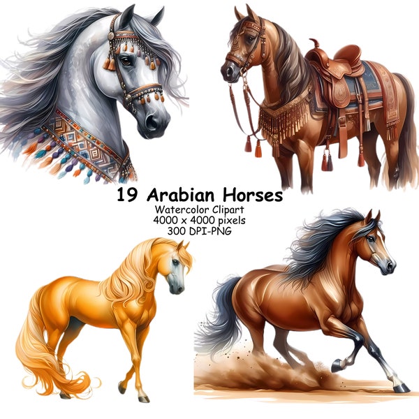 19 Arabian Horses Watercolor Clipart Bundle. Transparent Background, Horse Clipart PNG, High quality, Commercial Use