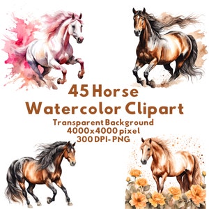 45 Beautiful Watercolor Horses Clipart Bundle.  4k Transparent Majestic Horse Clipart PNG, Watercolor. Commercial Use