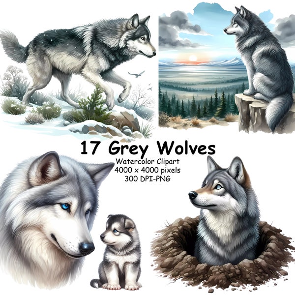 17 Watercolor Grey Wolf Clipart Bundle. Transparent background, Wolf Design PNG, Wolf graphics, wild life Clipart, Commercial Use