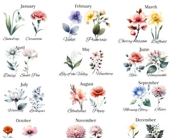 May include: A watercolor illustration featuring 24 birth month flowers. Each month showcases two different flowers, such as the January snowdrop and carnation, and the February violet and primrose. The image includes the month names and flower names.