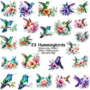23 akvarell kolibri clipart-paket. Transparent bakgrund PNG, digitalt papper, sublimering, hantverksnedladdning, kommersiellt bruk