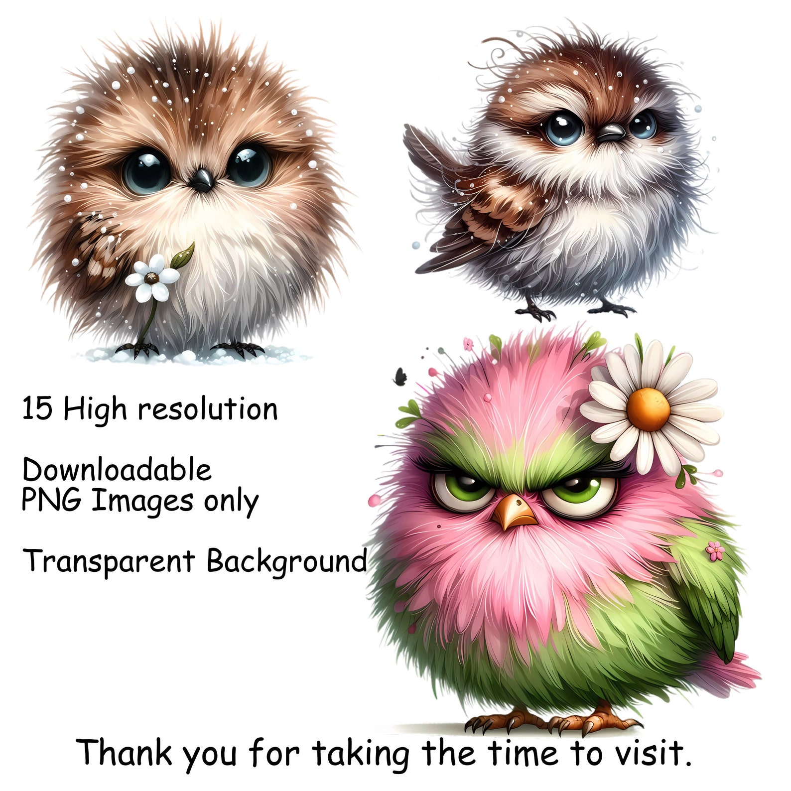15 Grumpy Birds Watercolor Clipart, Cute Fluffy Birds, Digital Clipart ...