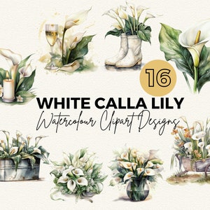 Clipart de lírio de calla branco | Aquarela Calla Lily Clip Art | Downloads de imagens digitais | Fabricação de cartões | Álbum de recortes | Jornal Lixo | Artesanato de papel