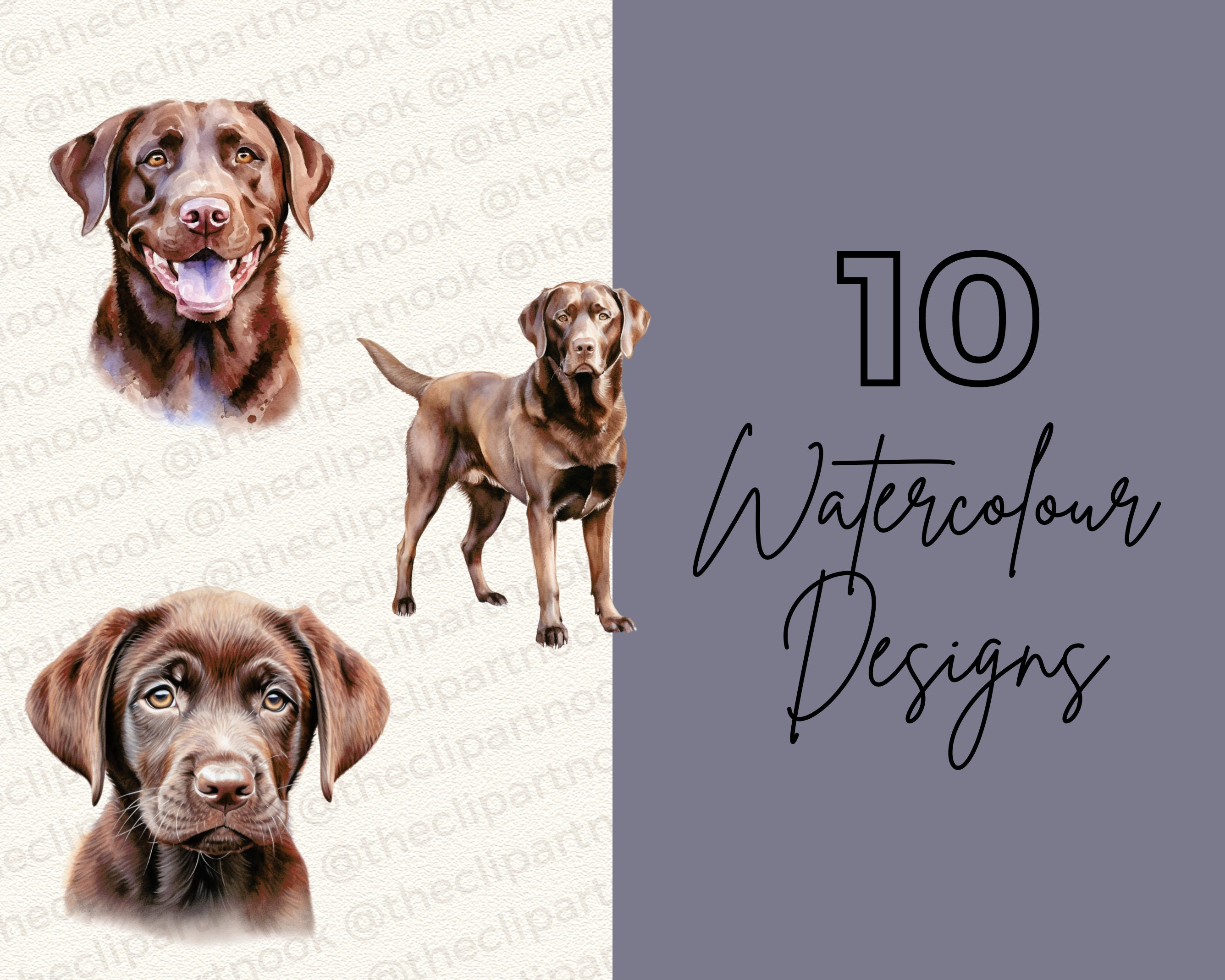 Chocolate Labrador Dog Clipart Watercolour Labrador Clip Art Clipart ...