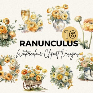Ranunculus Clipart | Watercolour Yellow Ranunculus Buttercup Clip Art | Digital Image Downloads |  Card Making | Scrapbooking | Junk Journal
