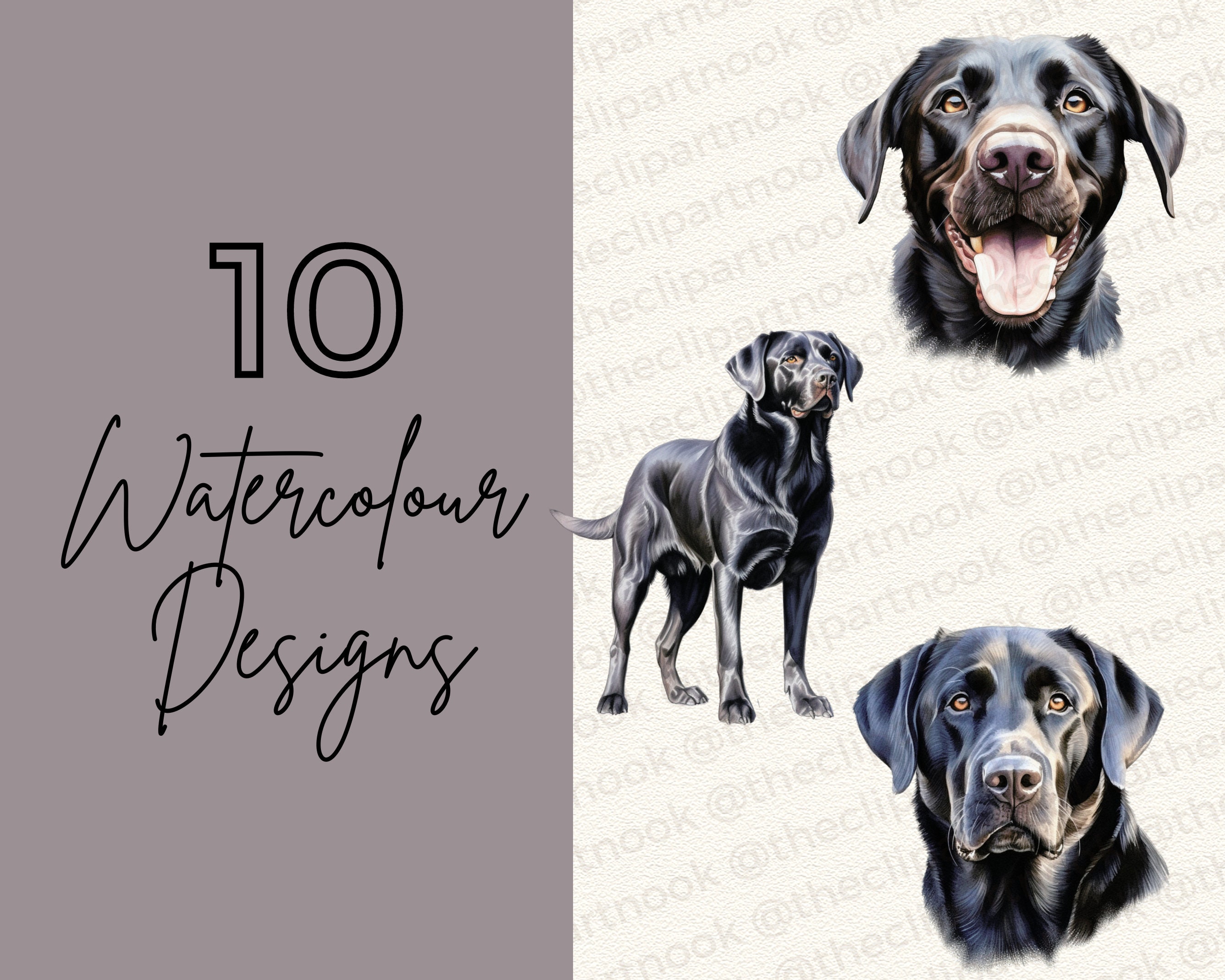 black-labrador-clipart-watercolour-black-labrador-dog-clip-art-clipart