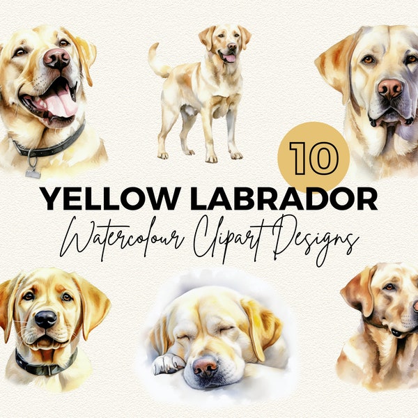 Yellow Labrador Dog Clipart | Watercolour Yellow Labrador Clip Art | Clipart Bundle | Watercolour Clipart | Pet Clipart | PNG | Scrapbooking