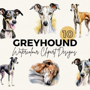 Clipart cane levriero / ClipArt di cane levriero acquerello / Pacchetto Clipart / Clipart acquerello / Clipart animali domestici / PNG / Scrapbooking