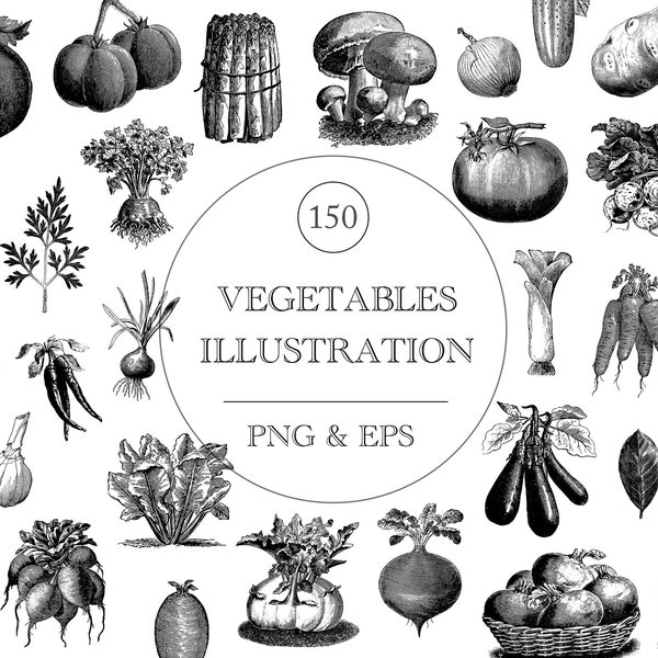 Vintage Vegetables Illustration Art, Antique Vegetables Clipart, Vegetables Food Illustration Art Mega Bundle Printable PNG, Commercial Use