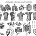 Anatomy Illustration Bundle, Human Body Parts Illustration, Anatomy ...