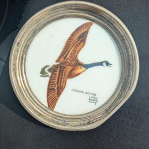 May include: Round, framed artwork featuring a Canada Goose in flight, with brown and white feathers, a black head and neck, and a white background. The frame is silver-toned, and the text "CANADA GOOSE LYNN BOGUE HUNT" is printed below the goose.