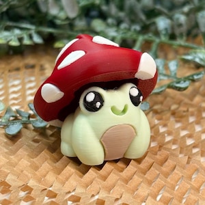 Frog Fidget Clicker - Cottage-Core Mushroom Gifts - Zintuiglijk speelgoed voor tieners en volwassenen